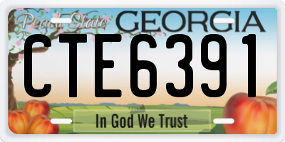 GA license plate CTE6391