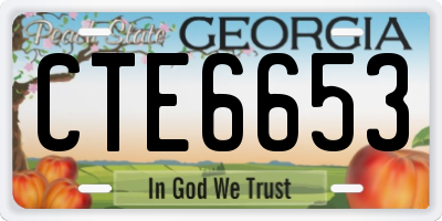 GA license plate CTE6653