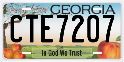 GA license plate CTE7207