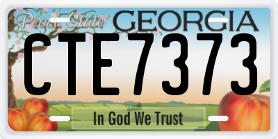 GA license plate CTE7373