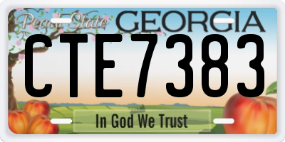 GA license plate CTE7383