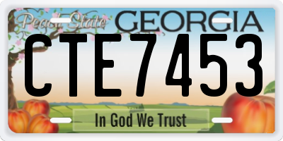 GA license plate CTE7453