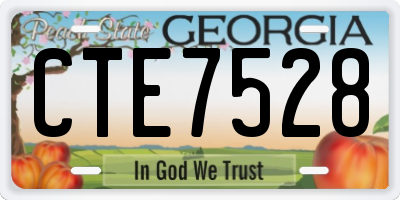 GA license plate CTE7528