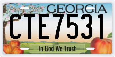 GA license plate CTE7531