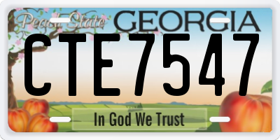 GA license plate CTE7547