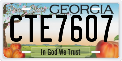 GA license plate CTE7607
