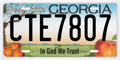 GA license plate CTE7807