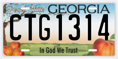 GA license plate CTG1314
