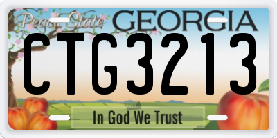 GA license plate CTG3213