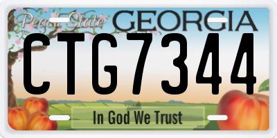 GA license plate CTG7344