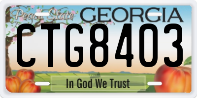 GA license plate CTG8403