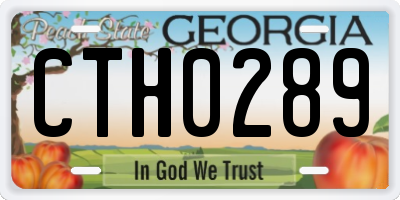 GA license plate CTH0289