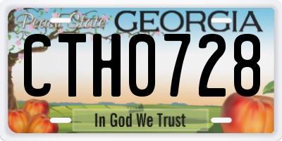 GA license plate CTH0728