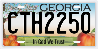 GA license plate CTH2250