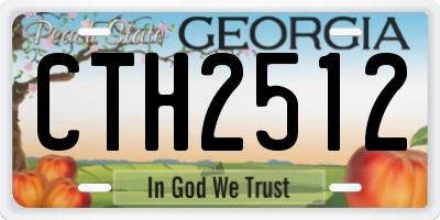 GA license plate CTH2512