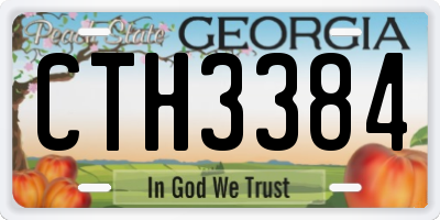GA license plate CTH3384
