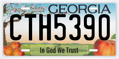 GA license plate CTH5390