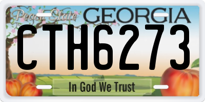 GA license plate CTH6273