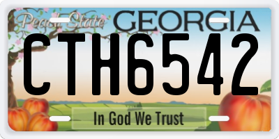 GA license plate CTH6542