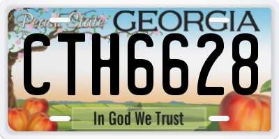 GA license plate CTH6628