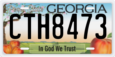 GA license plate CTH8473