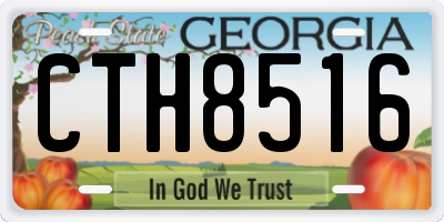 GA license plate CTH8516