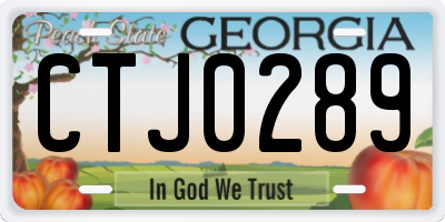 GA license plate CTJ0289