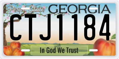 GA license plate CTJ1184