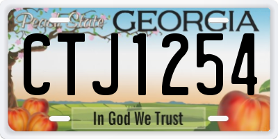 GA license plate CTJ1254