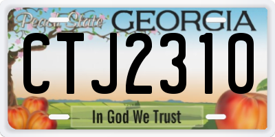 GA license plate CTJ2310