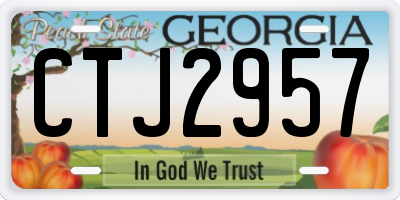 GA license plate CTJ2957