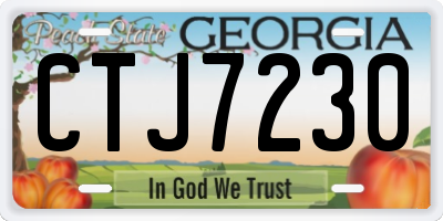 GA license plate CTJ7230