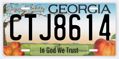 GA license plate CTJ8614
