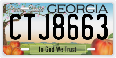 GA license plate CTJ8663
