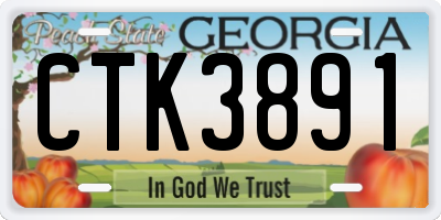 GA license plate CTK3891