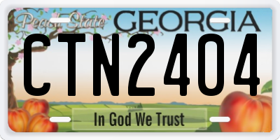 GA license plate CTN2404