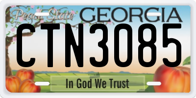 GA license plate CTN3085