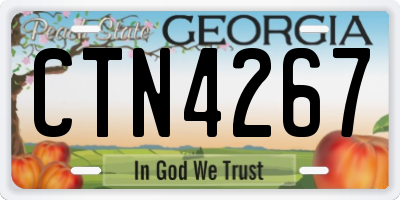 GA license plate CTN4267