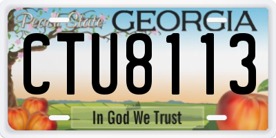 GA license plate CTU8113