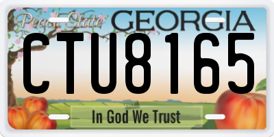GA license plate CTU8165