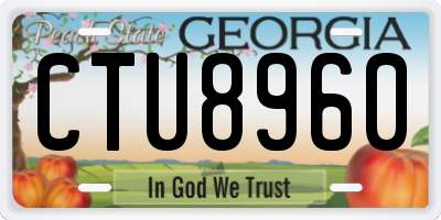 GA license plate CTU8960