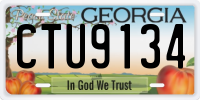 GA license plate CTU9134