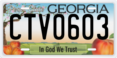 GA license plate CTV0603