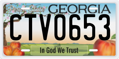 GA license plate CTV0653