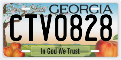 GA license plate CTV0828