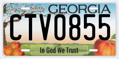 GA license plate CTV0855