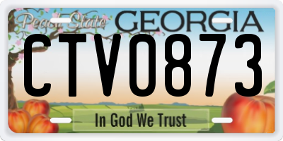 GA license plate CTV0873