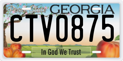 GA license plate CTV0875