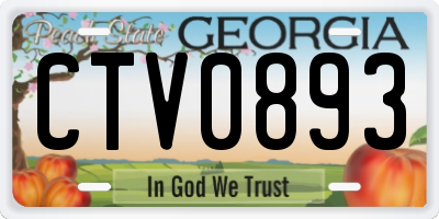 GA license plate CTV0893