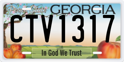 GA license plate CTV1317